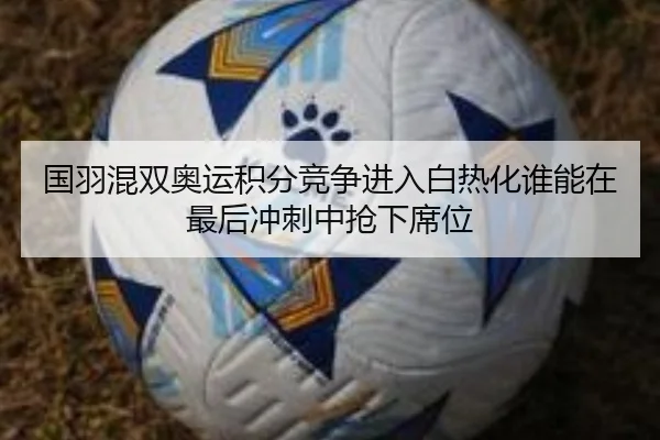 国羽混双奥运积分竞争进入白热化谁能在最后冲刺中抢下席位 - Tencent Sports